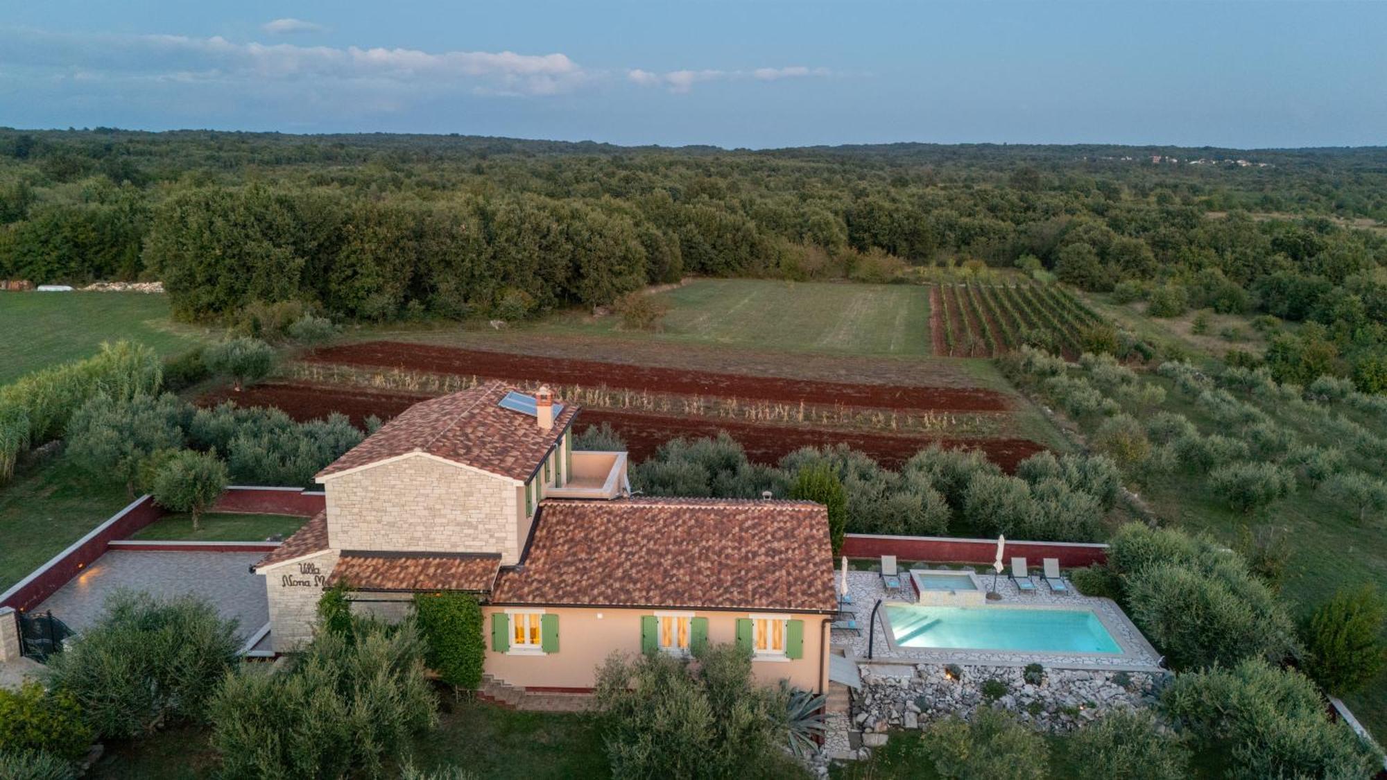 Villa Nona Marija Sveti Lovreč Pazenatički Buitenkant foto